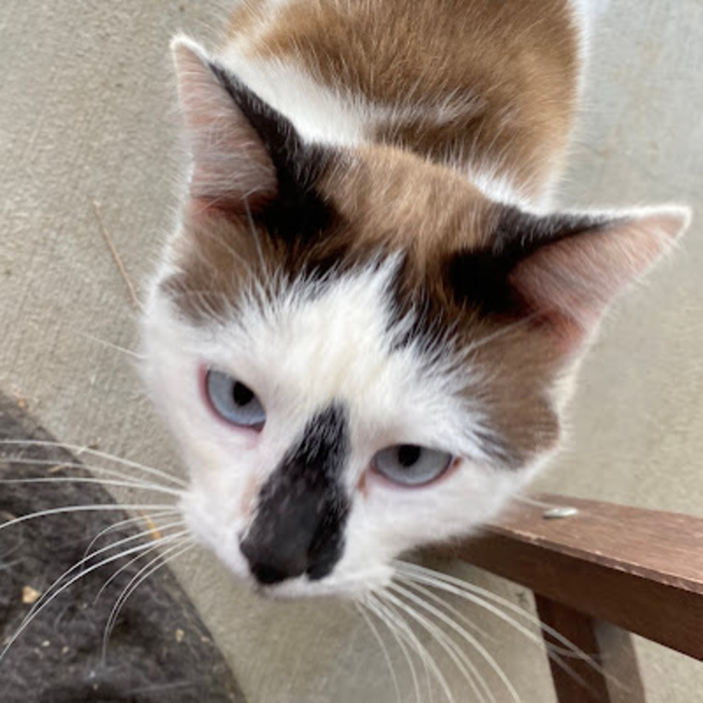 Meet your Posher, Victoria